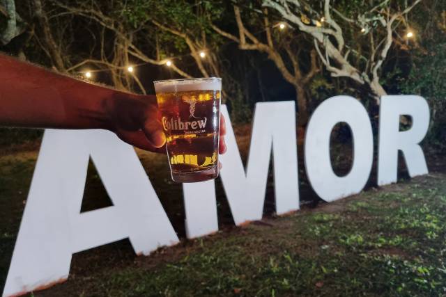 Imagem principal da galeria